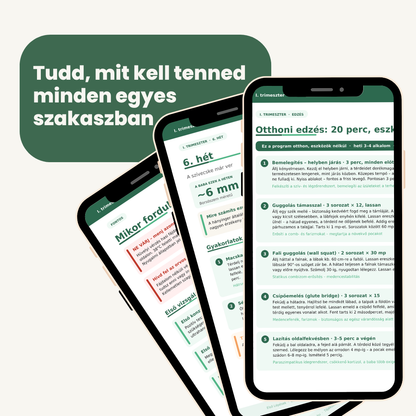 Várandóssági Útmutató